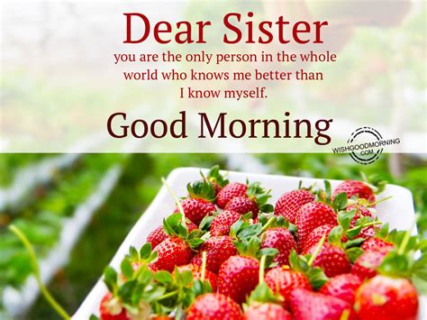 good morning sister quotes|good morning message to my lovely sister.